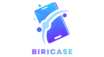 cropped logo biricase 1.png